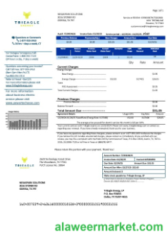 USA Texas TriEagle business utility bill template in Word and PDF  formats